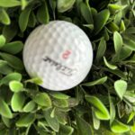 Golf ball stuck in shrubery.